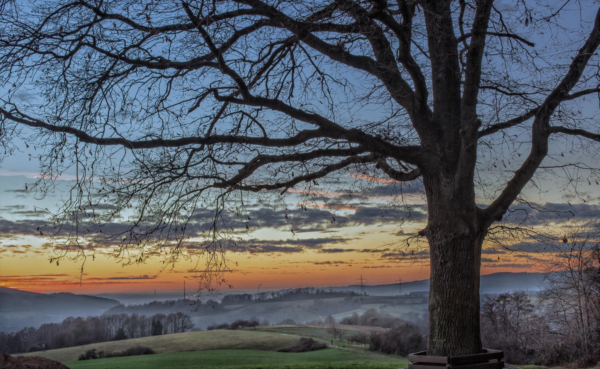 Laufach bei Sonnenuntergang